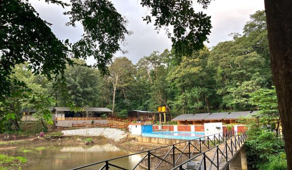 99f6de6b-e6be-4563-8521-79b0f8061595