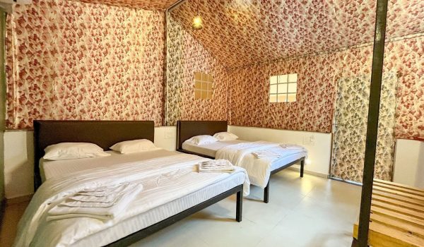 bfcf3d52-dcc2-4685-a478-c40d231d46f5